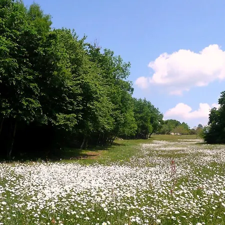 別荘 Im Perigord - 4-6 Pers- By Interhome